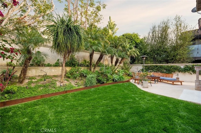 view of yard featuring a patio and a fenced backyard