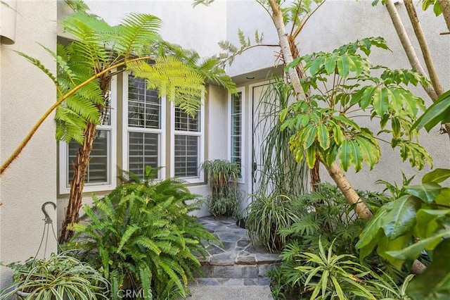 doorway to property with stucco siding