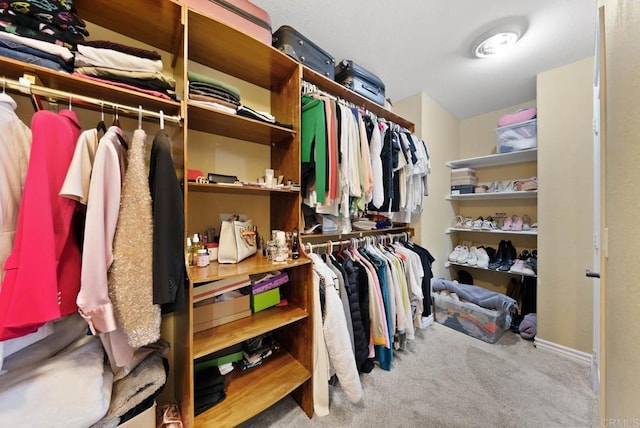 spacious closet featuring carpet floors