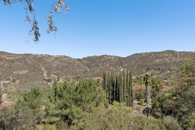 6433 Dehesa Rd, El Cajon, CA 92019 - property view of mountains