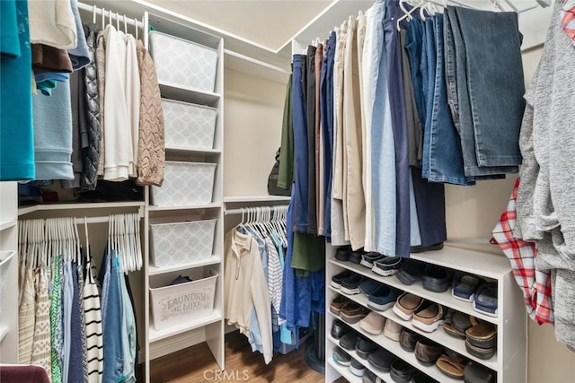 walk in closet featuring wood finished floors