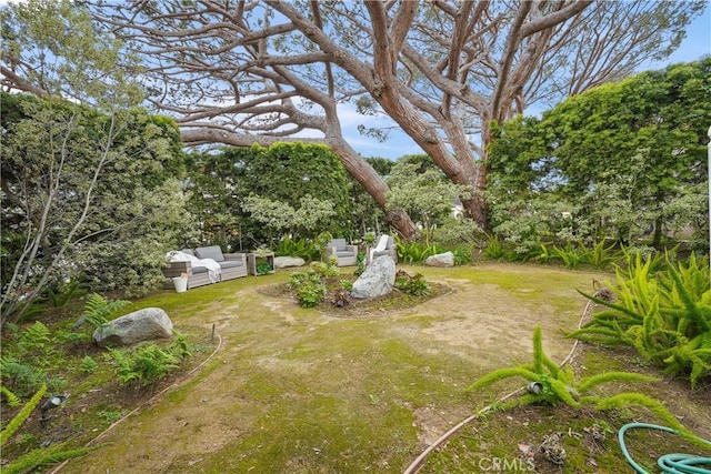 view of yard with an outdoor hangout area