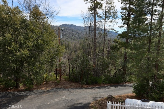 36328 Finegold Creek Dr, North Fork, CA 93643 - photo 5