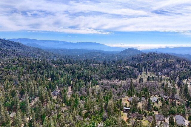 36328 Finegold Creek Dr, North Fork, CA 93643 - photo 67