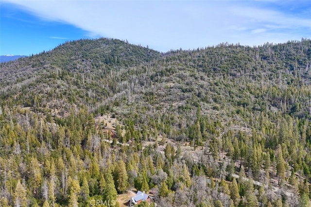 36328 Finegold Creek Dr, North Fork, CA 93643 - photo 65