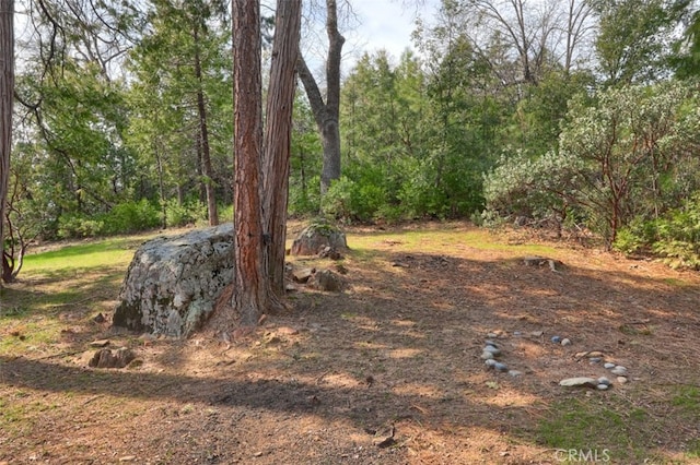 36328 Finegold Creek Dr, North Fork, CA 93643 - photo 55