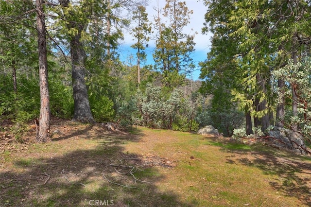 36328 Finegold Creek Dr, North Fork, CA 93643 - photo 54