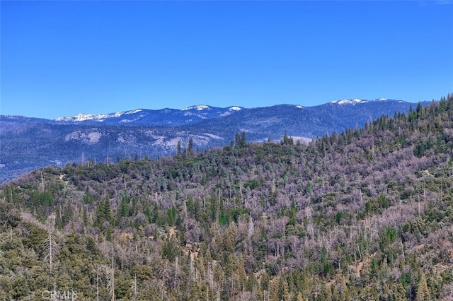 36328 Finegold Creek Dr, North Fork, CA 93643 - photo 6