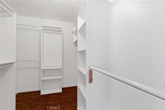 walk in closet with dark wood-style flooring