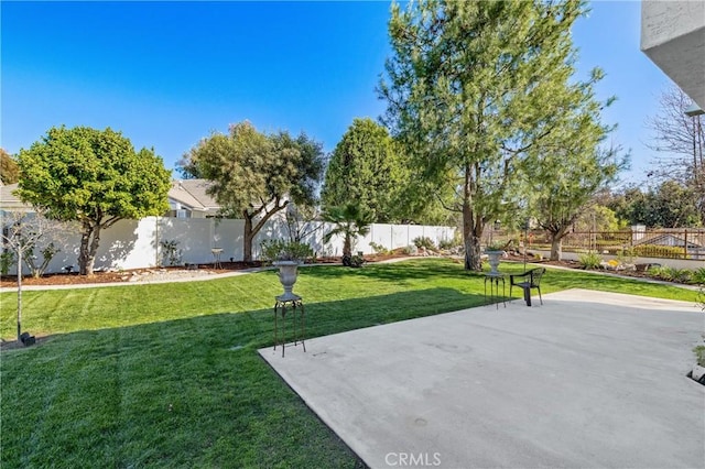 view of yard featuring a patio and a fenced backyard