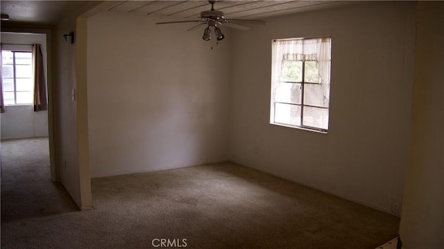 carpeted spare room featuring a ceiling fan and a wealth of natural light