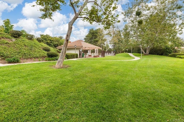 view of yard featuring a patio