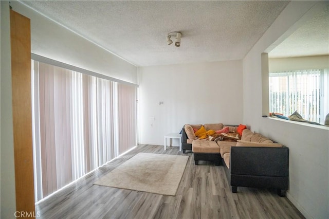 living room with a textured ceiling and wood finished floors