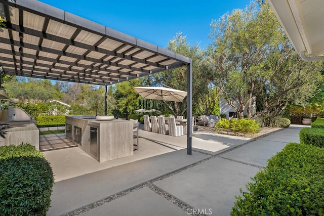 view of patio / terrace with grilling area, area for grilling, and a pergola