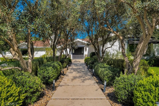 view of property hidden behind natural elements featuring stucco siding