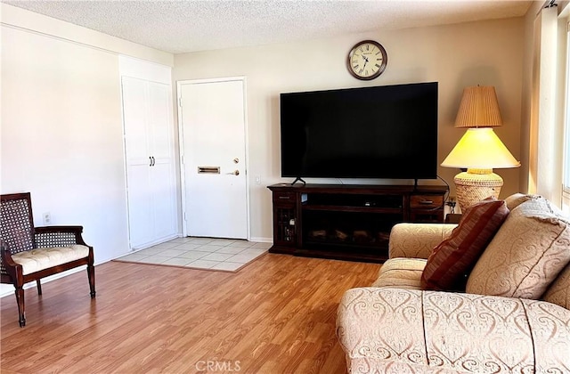 living room featuring light wood finished floors and a textured ceiling