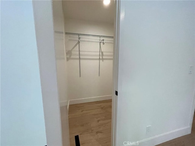 spacious closet featuring wood finished floors