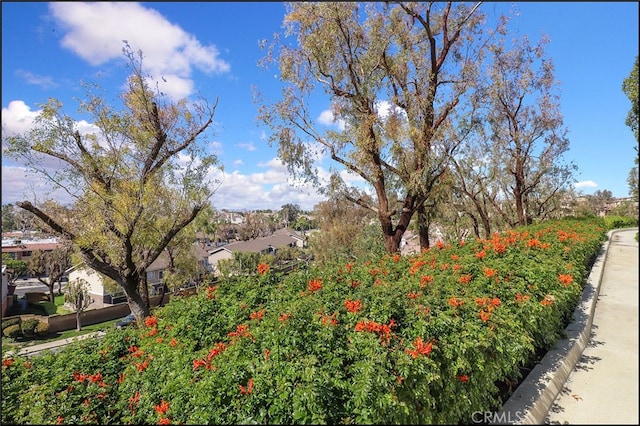 view of yard with a residential view