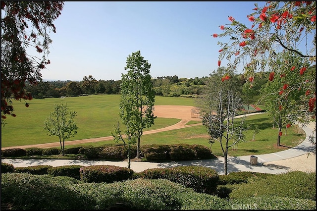 view of home's community featuring a lawn