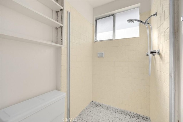 full bathroom with toilet and a shower stall