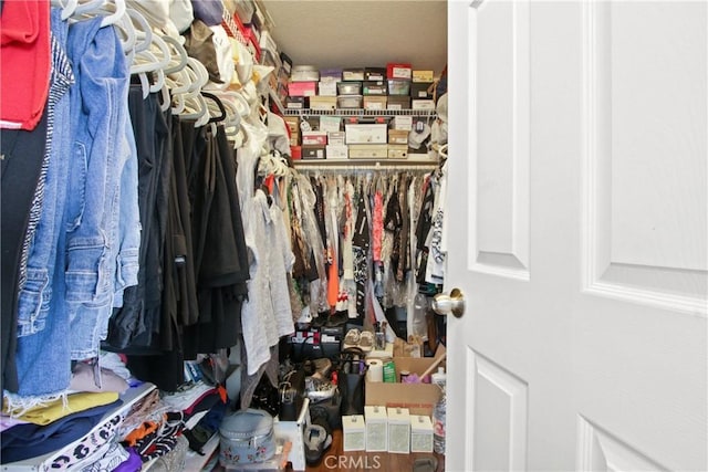 view of walk in closet