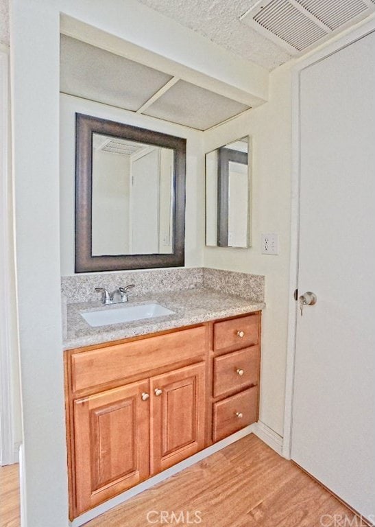 bathroom with vanity, wood finished floors, and visible vents