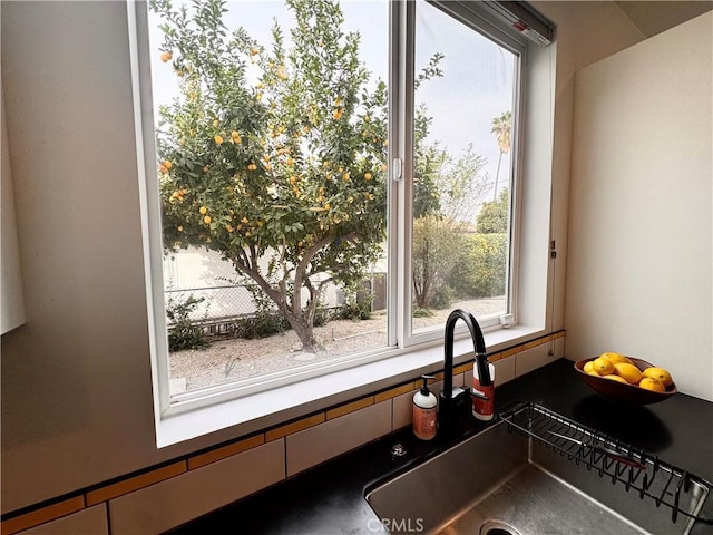 interior details with a sink