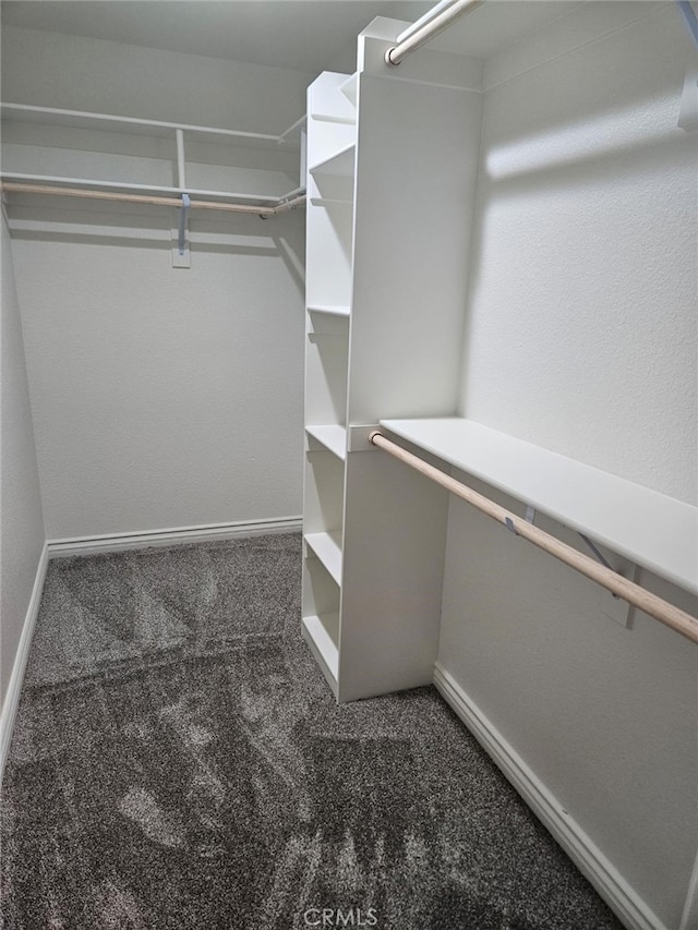 walk in closet with carpet