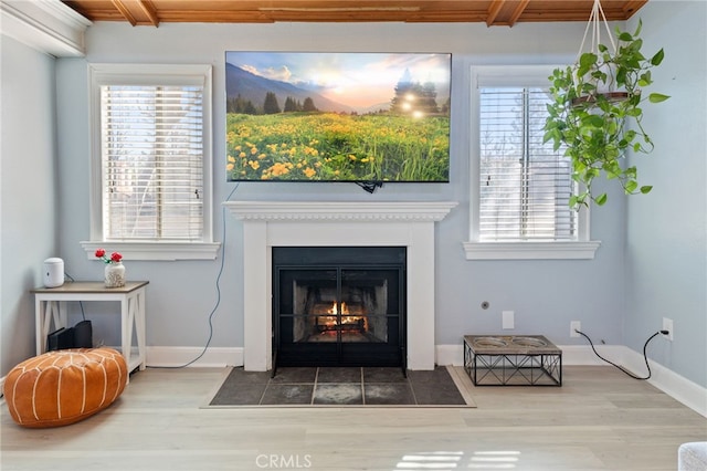 interior details with wood finished floors, a fireplace with flush hearth, and baseboards