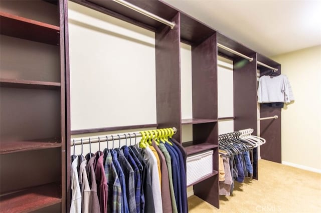 spacious closet featuring carpet flooring