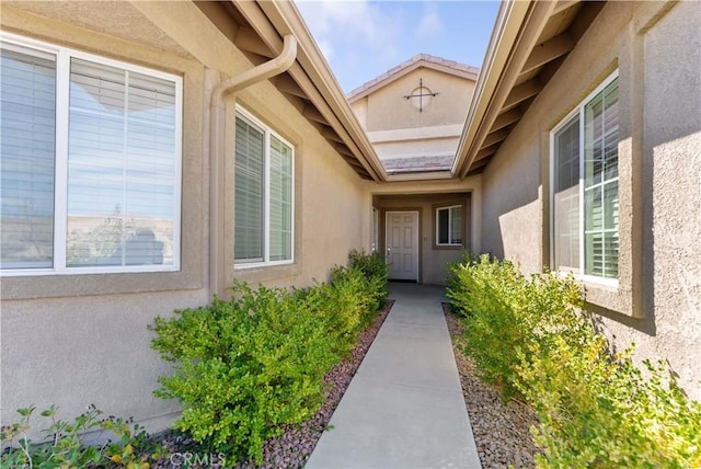 doorway to property featuring stucco siding