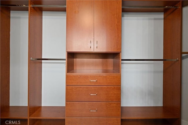 view of spacious closet