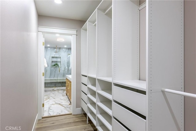 spacious closet with light wood-type flooring