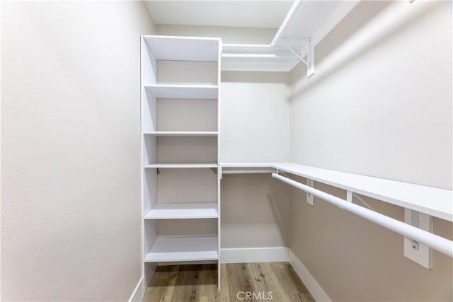 spacious closet featuring wood finished floors