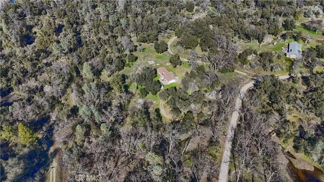 bird's eye view with a forest view