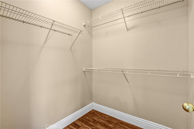 spacious closet with dark wood-style floors