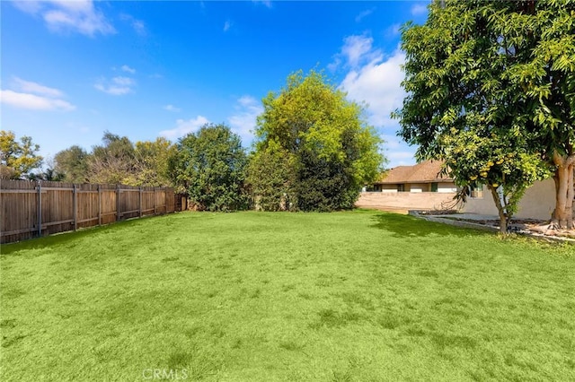 view of yard featuring a fenced backyard