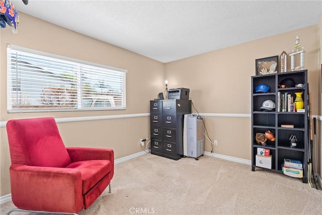 sitting room featuring carpet flooring, a textured ceiling, and baseboards