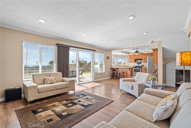 living room featuring baseboards, a textured ceiling, and light wood finished floors