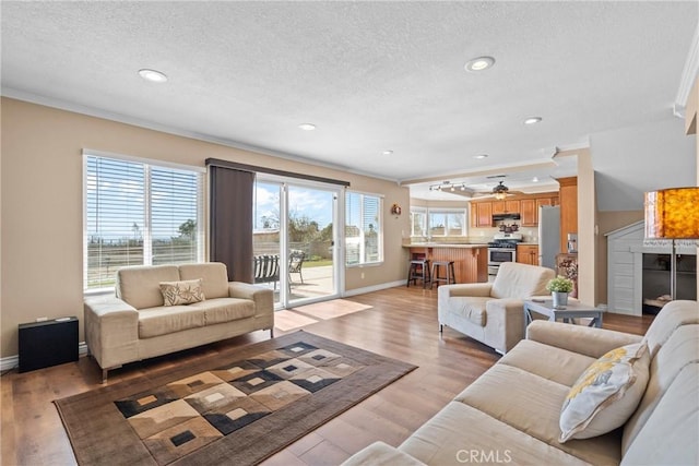 living area featuring crown molding, a textured ceiling, baseboards, and ceiling fan