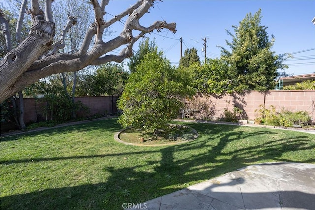 view of yard featuring a fenced backyard