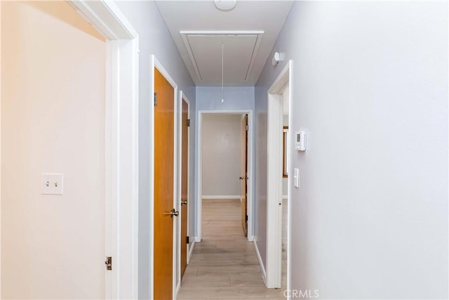 corridor featuring light wood-type flooring and attic access