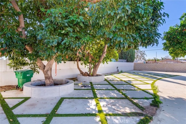 view of yard with a fenced backyard and a patio