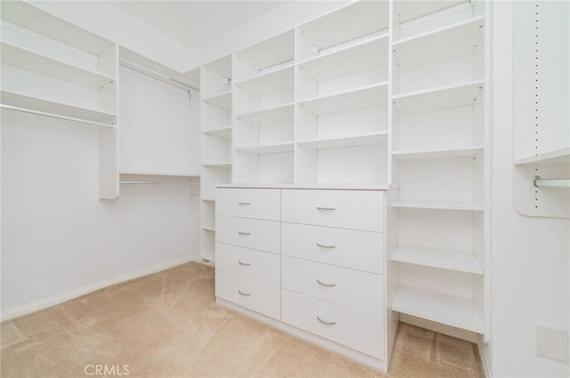 walk in closet with light colored carpet