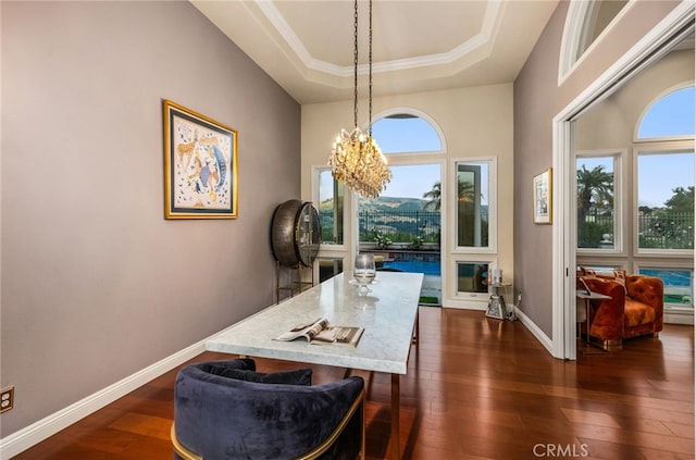 dining room featuring a healthy amount of sunlight, baseboards, a raised ceiling, and dark wood-type flooring