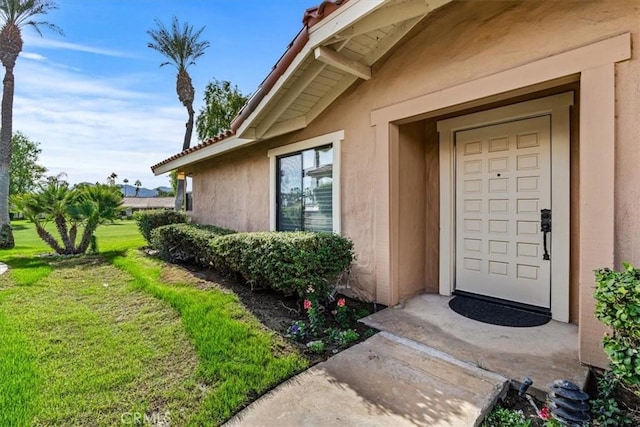 view of exterior entry with a yard and stucco siding