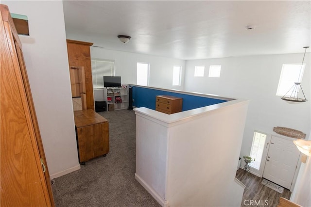 interior space with carpet and baseboards