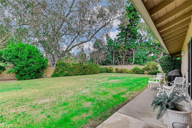 view of yard featuring a patio area and a fenced backyard