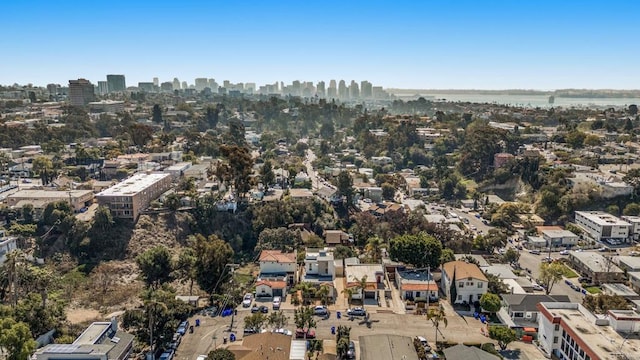 bird's eye view with a city view