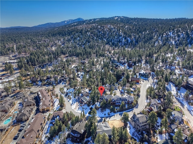 40618 Sunburst Cir, Big Bear Lake, CA 92315 - photo 50